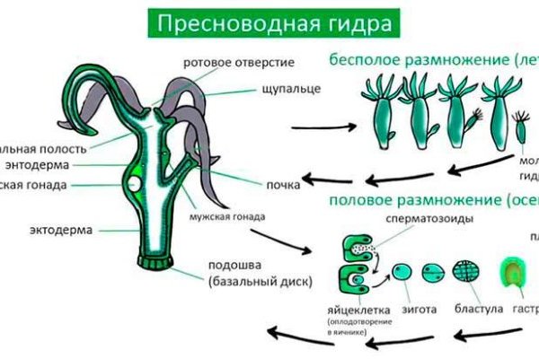 Кракен торговая