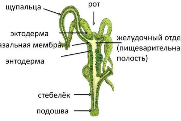 Ссылка на кракен тор kraken014 com